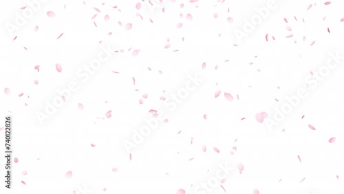 上から下へと花びらが落ちる桜吹雪のループ動画 4Kのみ:アルファチャンネルあり Only 4K has alpha channel.
