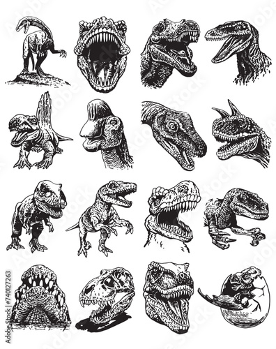 Graphical big set of dinosaurs on white background,vector illustration for typography and design.