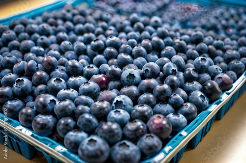 Wallpaper Mural A full tray of blueberries in a supermarket. Torontodigital.ca