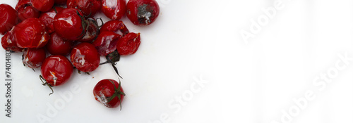 Red rotten cherry tomato with white mold, isolated on light background. Horizontal banner with copy space for text. Top view. Concept of healthy food, trash, trash, spoiled product, autumn, fall, poor