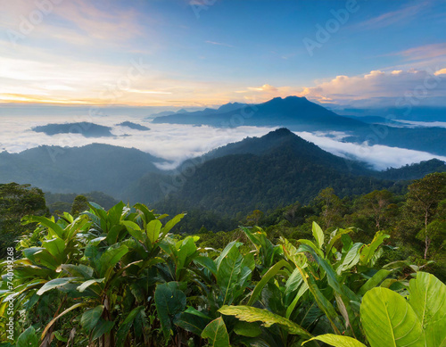 Mist hanging over Lowland Dipterocarp Rainforest just after sunrise. Danum Valley Conservation Area, Sabah, Borneo. photo