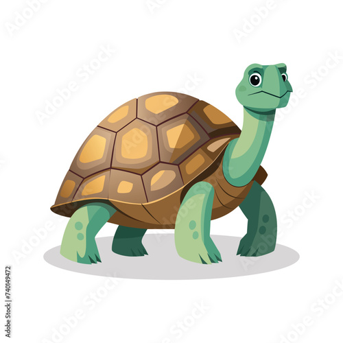  Aldabra giant tortoise Animal flat illustration on white Background