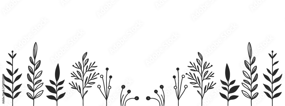 Fototapeta premium Black silhouettes of meadow wild herbs and flowers. Wildflowers. Floral background. Wild grass. Vector illustration.