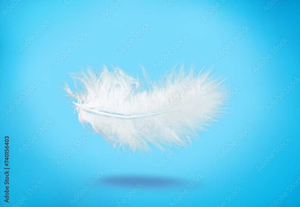 Abstract White soft Bird Feather in The Air.