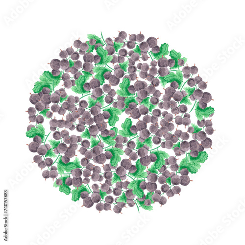 Hand drawn watercolor blackcurrant round composition with green leaves isolated on white background. Can be used for cards, label and other printed products.