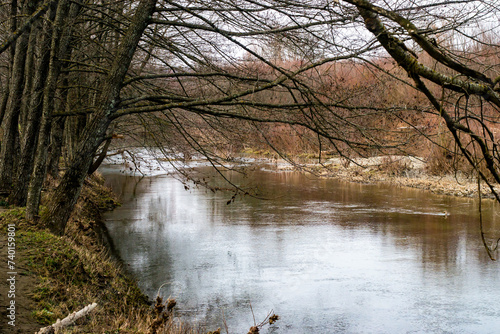 the river in the forest