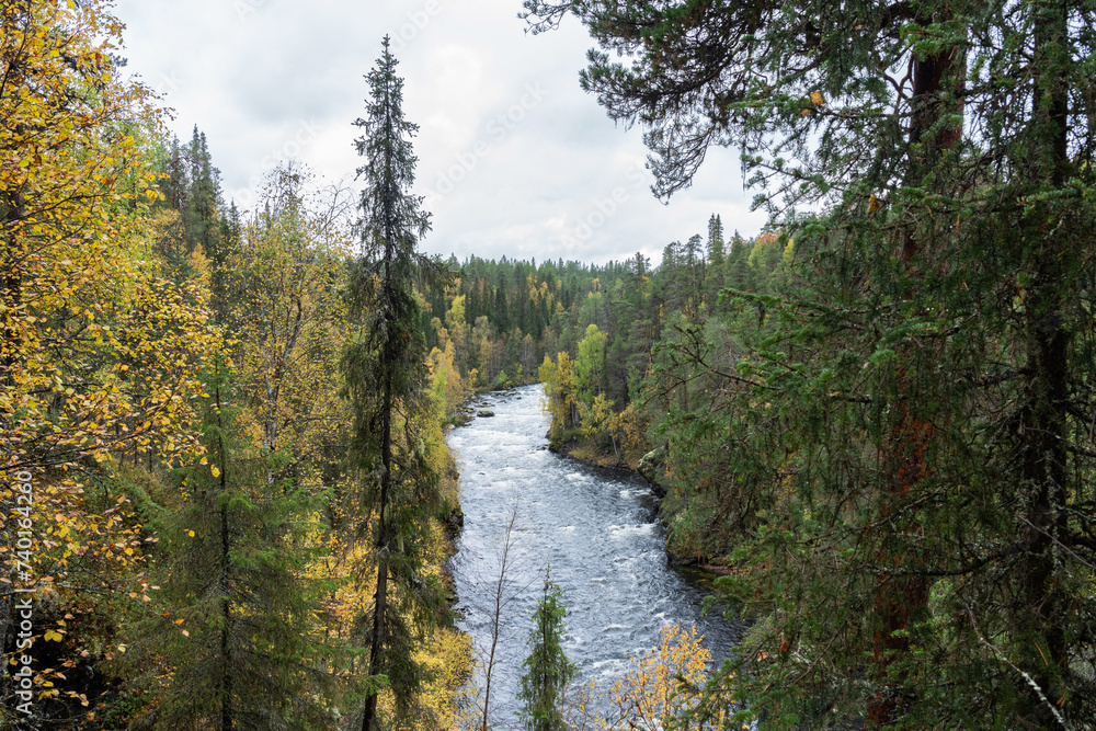 View to Aallokkokoski rapids in the middle of colorful forest during fall foliage in Oulanka National Park, Northern Finland View to Aallokkokoski rapids in the middle of colorful forest during fall foliage in Oulanka National Park, Northern Finland