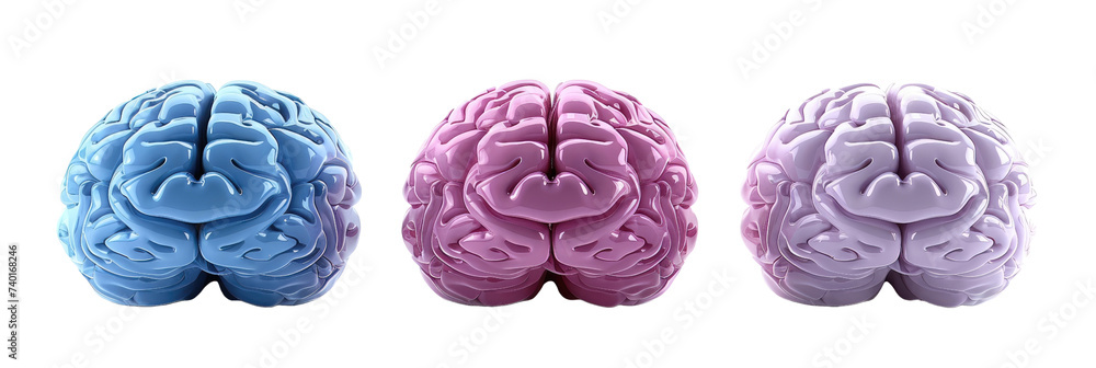 Obraz premium Three stylized brains in shades of blue, pink, and lavender with a smooth, clay-like texture.