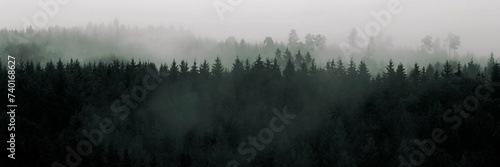 Mountain landscape  forest with fog  mountains  panorama  Black Forest silhouette trees  copy space.