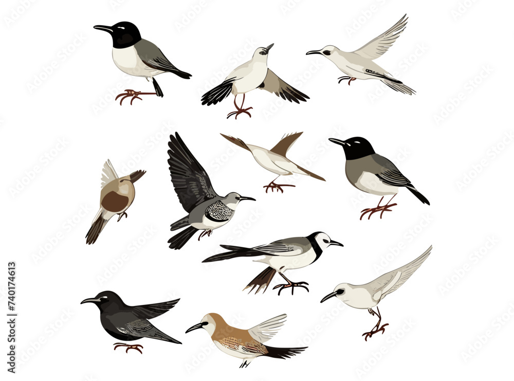 Fototapeta premium Bird species hand drawn set. Vector isolated flying pigeon, swallow, sparrow, robin, starling, blue tit, lark, northern cardinal, oriole, american goldfinch, eastern bluebird. Linear engraved art.