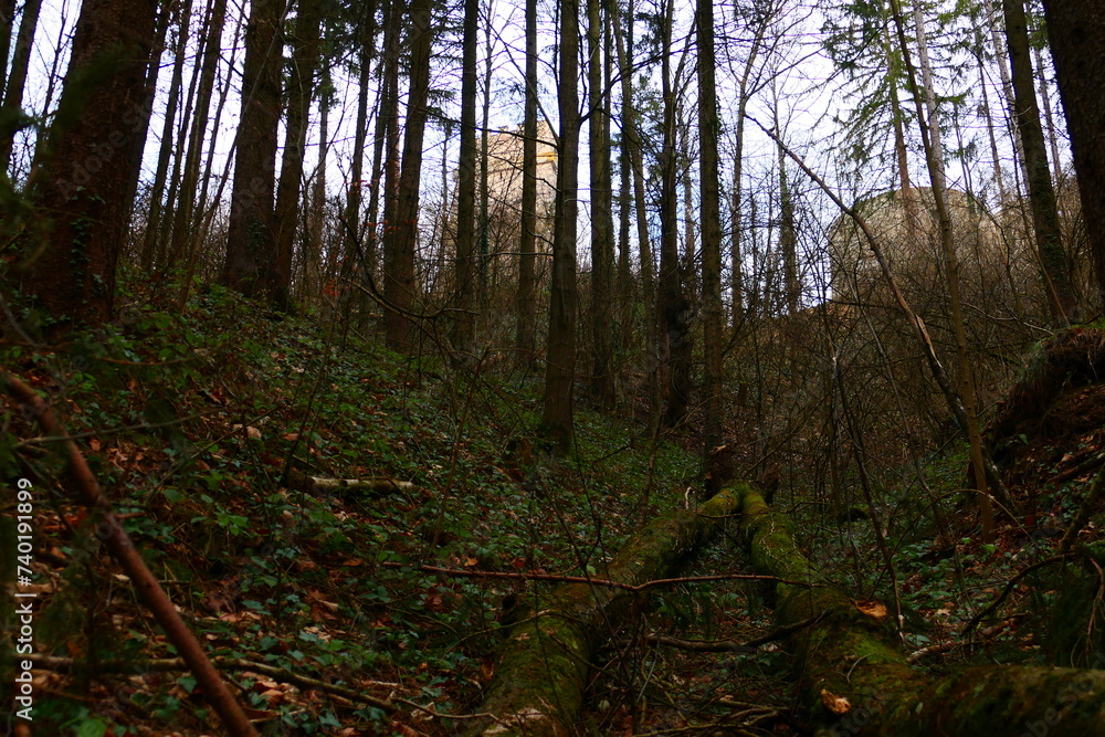 Fototapeta premium Burgruine am Schlossberg, Kirchschlag in der Buckligen Welt
