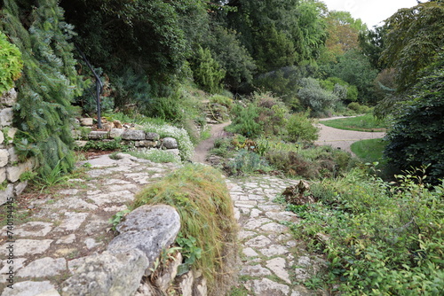 Photography alpine garden , botanical garden in the Jardin des Plantes in Paris