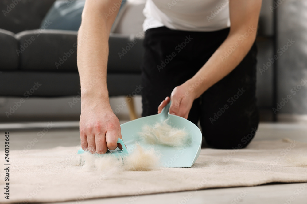 Man with brush and pan removing pet hair from carpet at home, closeup
