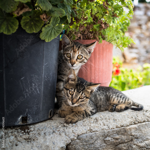 Mittags in Apeiranthos photo