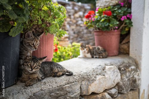 Mittags in Apeiranthos photo