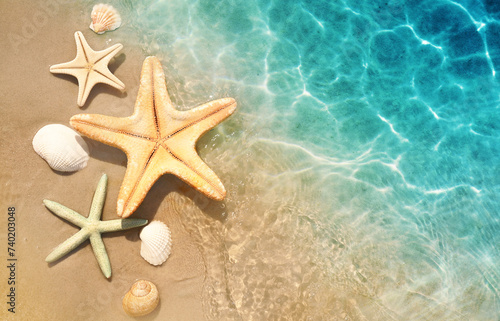 Starfish and seashell on the summer beach in sea water. Summer background.