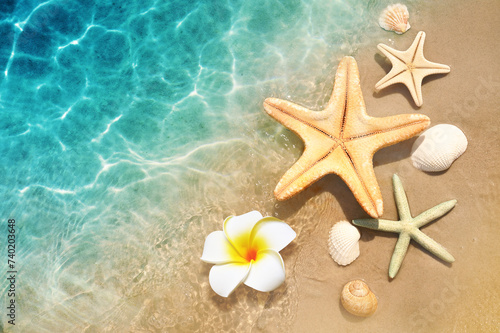 Starfish, seashell and flower on the summer beach in sea water. Summer background.