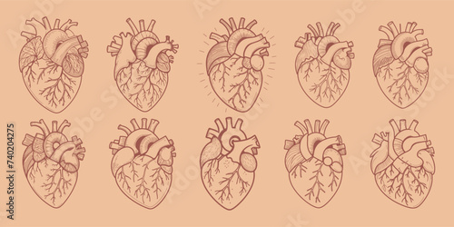 Heart outline set hand drawing vector design and illustration
