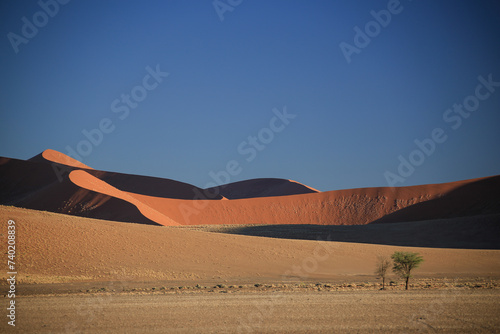 red sand landscape of namib desert