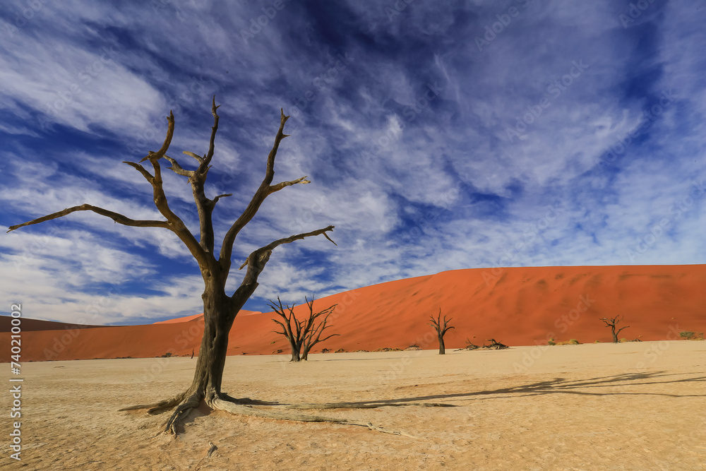 dead acacia trees in the white clay pan of Deadvlei in the middle of Namib desert with its red sand dunes
