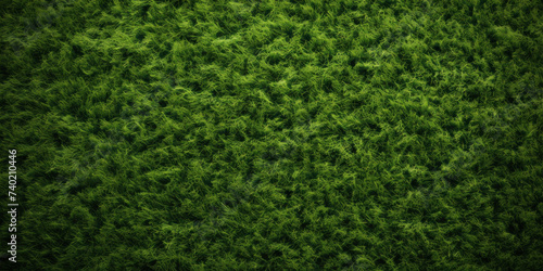 Green Grass Texture. Top View Carpet or Lawn. Baseball  Soccer  Football or Golf Game. Generative AI