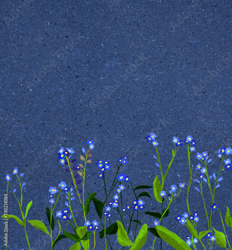 Ilustracja kwiaty niezapominajki na ciemnym niebieskim tle tekstura szablon.