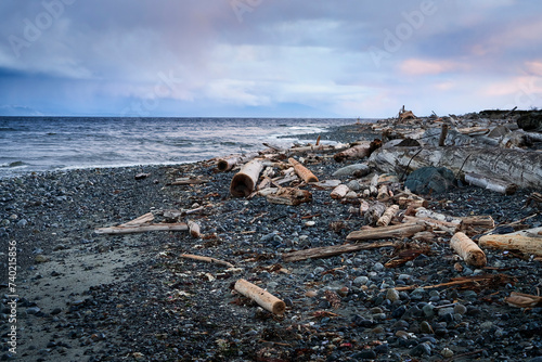 Dusk at an ocean beach covered in logs, a hint of pink in the darkening sky.