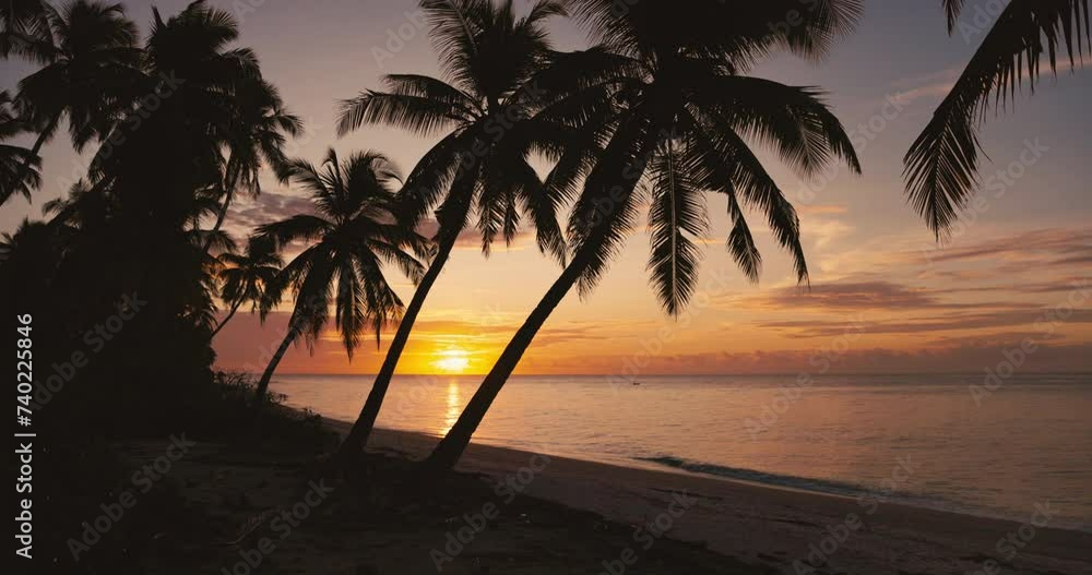 Coconut palm trees at sunset on tropical beach with quiet ocean in Maldives Coconut palm trees at sunset on tropical beach with quiet ocean in Maldives