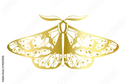 Decorative winged insect golden night moth. Vector graphics.