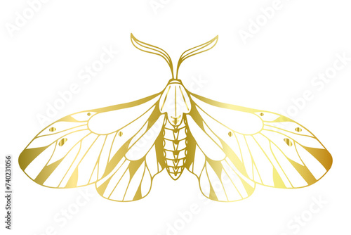 Decorative winged insect golden night moth. Vector graphics.