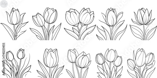 set of tulips coloring page and outline clipart vector design photo