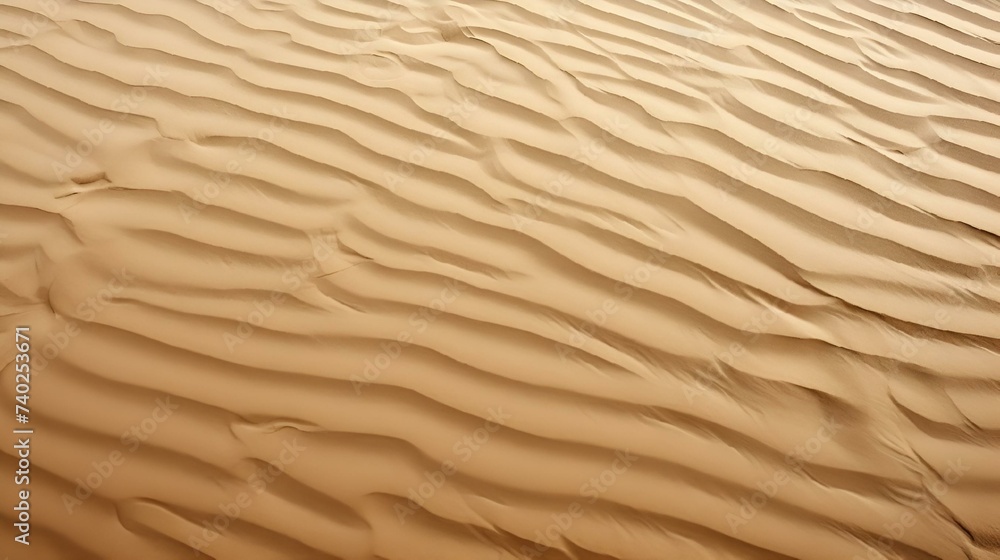 sand texture sand texture