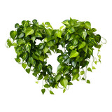 Heart shape green leaves isolated on transparent background