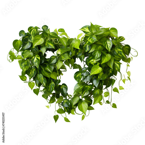 Heart shape green leaves isolated on transparent background
