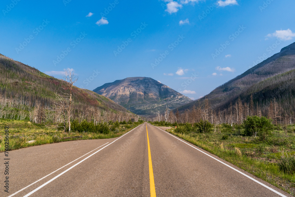 Fototapeta premium Road traverses through valley in Waterton Lakes National Park, Alberta, Canada
