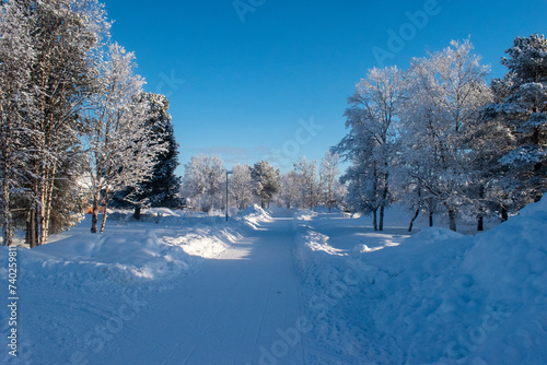 Idyllic panoramic cold winter view in the arctics with lot of snow and blue sky. © Adam