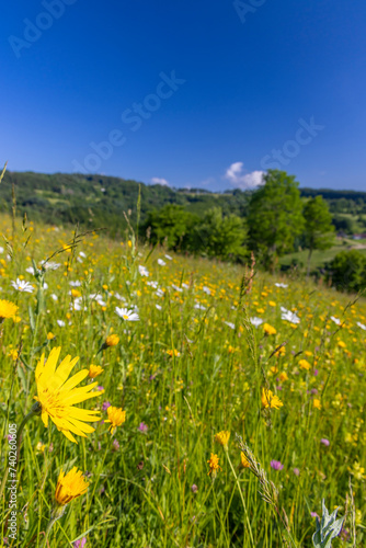 Typical Spring landscape in White Carpathians near Stary Hrozenkov, Southern Moravia, Czech Republic photo