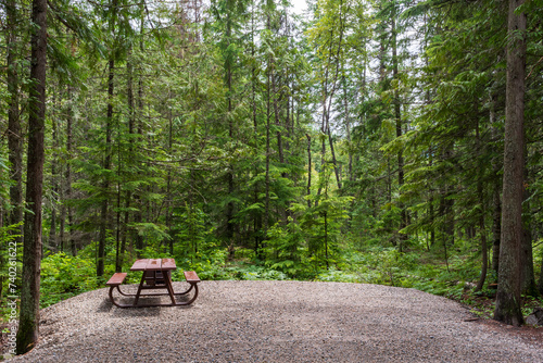 Beautiful, lush campsite in British Columbia, Canada photo