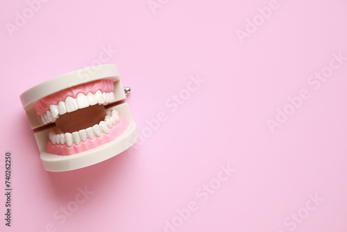 Jaw model on pink background. World Dentist Day