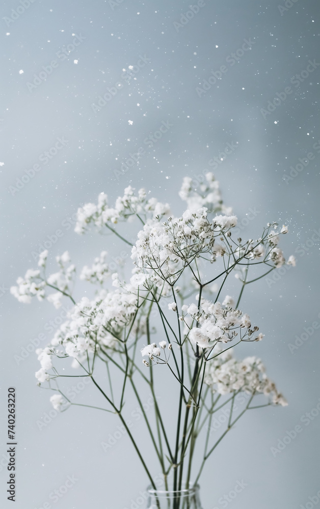 Aesthetic minimalist white flowers Aesthetic minimalist white flowers