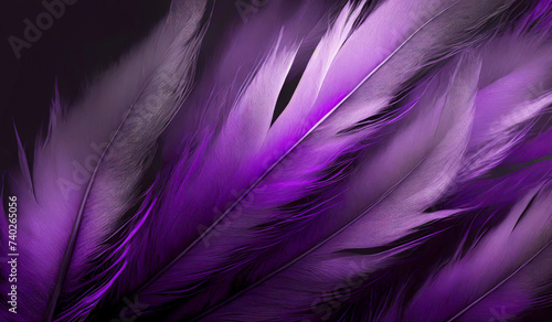 fioletowe tło w pióra, tapeta © Iwona