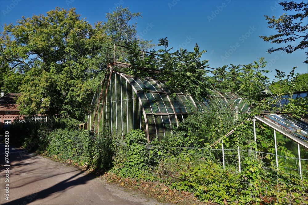 abandoned greenhouse coverd in invasive vegetation