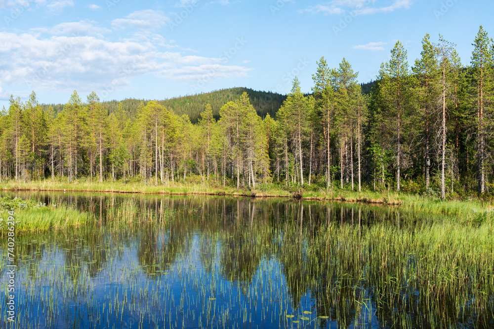 A scenic view to a small river and Iivaara protected area in the background near Kuusamo, Northern Finland