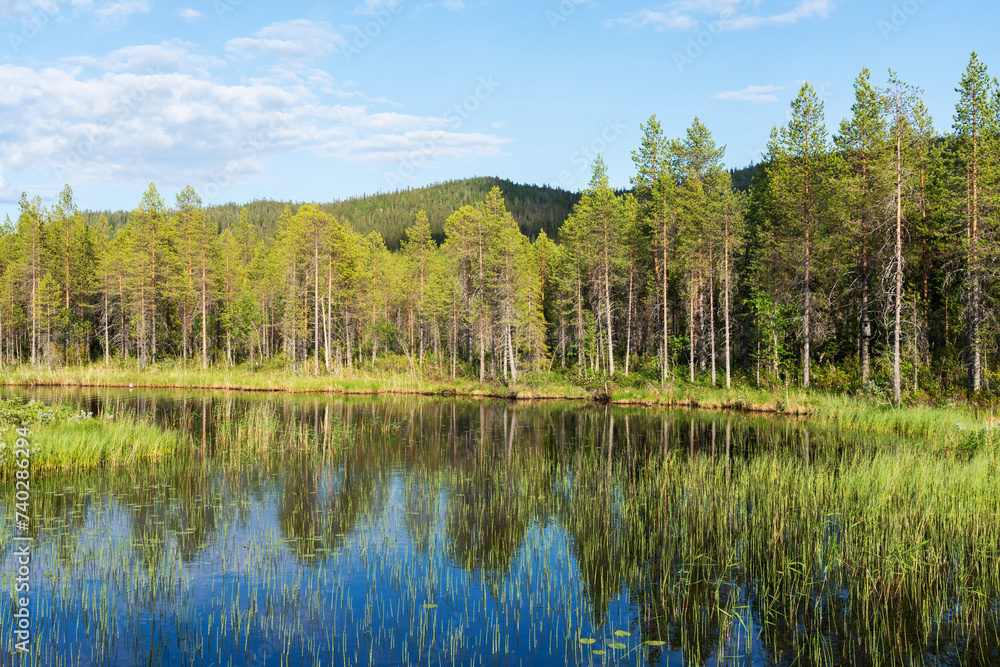 A scenic view to a small river and Iivaara protected area in the background near Kuusamo, Northern Finland A scenic view to a small river and Iivaara protected area in the background near Kuusamo, Northern Finland