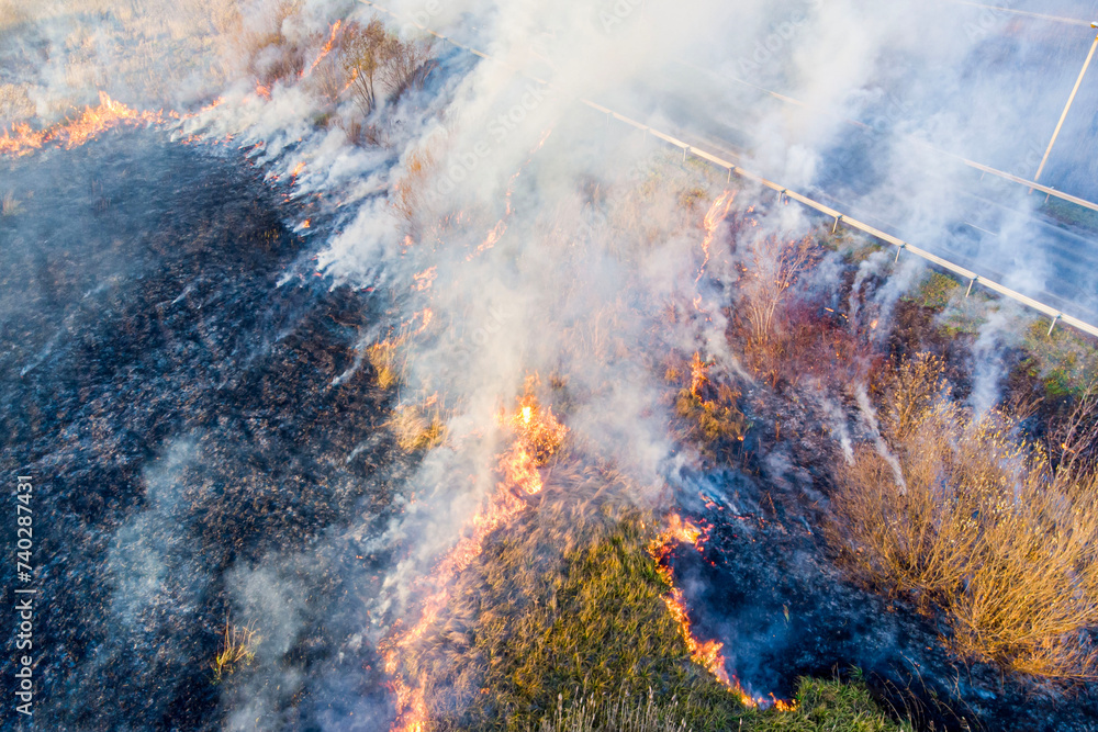 dead wood fire filmed from a quadcopter in the spring at sunset