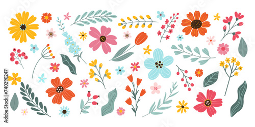 Set isolated hand drawn spring and summer flowers. Blossom flowers, leaves, branches, berries, tulip. Flat vector herbal illustration on white background
