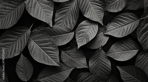 Ethereal Beauty of Monochrome: Autumn Leaves on a Dark Background Captured in Black and White
