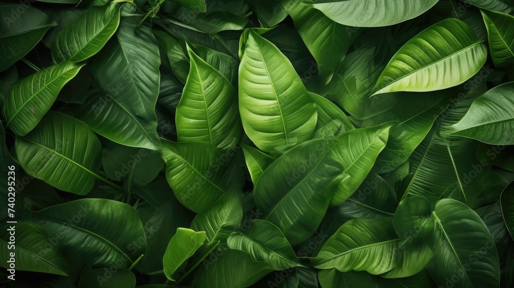 Obraz premium Vibrant Tropical Foliage Background with Lush Green Leaves in a Refreshing Flat Lay Composition