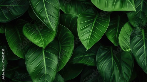 Lush Tropical Green Leaves Background with Fresh Foliage Patterns and Vibrant Natural Textures