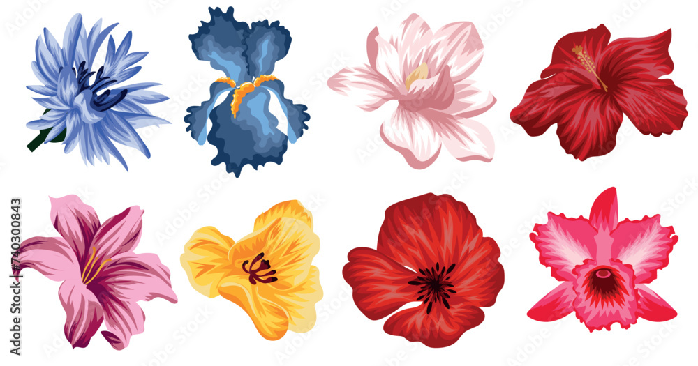 large set of flowers, namely from the opened buds of magnolia, lily, cornflower, iris, orchid, poppy, mallow and tulip large set of flowers, namely from the opened buds of magnolia, lily, cornflower, iris, orchid, poppy, mallow and tulip